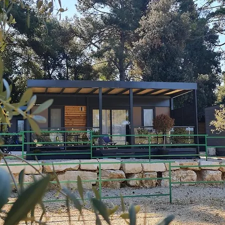 Luxury Mobile Homes Ivaci *