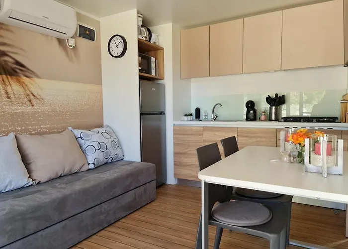 Luxury Mobile Homes Ivaci Kemp *